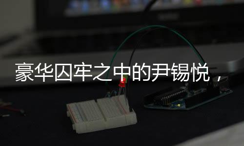 豪華囚牢之中的尹錫悅，深度解讀其背后故事