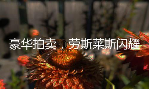豪華拍賣，勞斯萊斯閃耀成交，510萬(wàn)天價(jià)揭曉