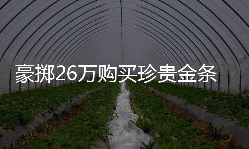 豪擲26萬購買珍貴金條，一金條可值得價值揭秘