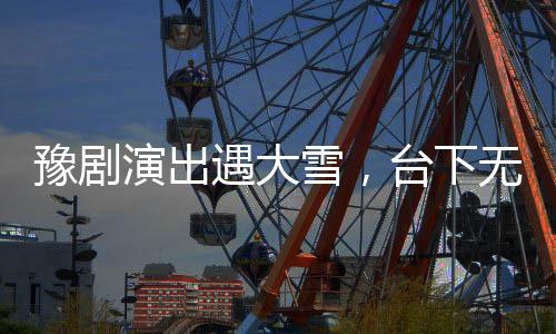 豫劇演出遇大雪，臺(tái)下無(wú)人演員仍?xún)A情獻(xiàn)藝——風(fēng)雪中的藝術(shù)堅(jiān)守