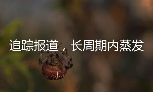 追蹤報(bào)道，長(zhǎng)周期內(nèi)蒸發(fā)323億，深度解析事件始末