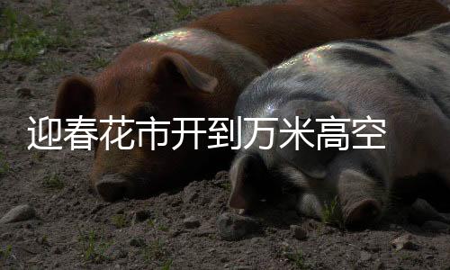 迎春花市開到萬米高空 航司開展迎新春主題航班活動(dòng)
