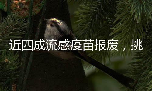 近四成流感疫苗報廢，挑戰(zhàn)與應對策略