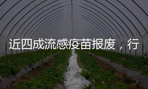 近四成流感疫苗報(bào)廢，行業(yè)面臨的挑戰(zhàn)與未來展望