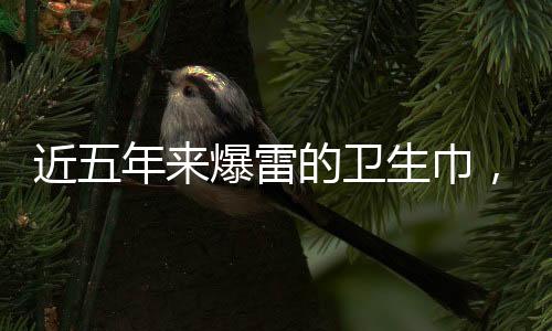 近五年來爆雷的衛(wèi)生巾，行業(yè)現(xiàn)狀分析與反思