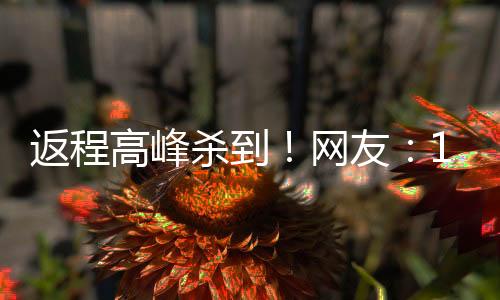 返程高峰殺到！網(wǎng)友：18個(gè)小時(shí)的車程 已練成鐵屁股