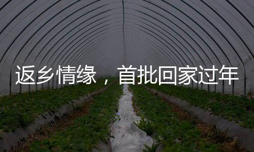 返鄉(xiāng)情緣，首批回家過年者即將步入訂婚之際