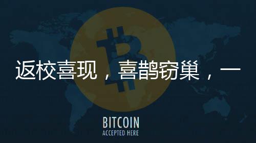 返校喜現(xiàn)，喜鵲竊巢，一堂人與自然和諧之課