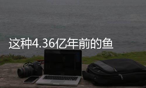 這種4.36億年前的魚(yú) 命名獻(xiàn)給“雜交水稻之父”袁隆平