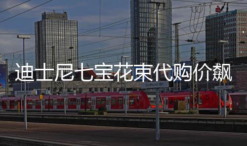 迪士尼七寶花束代購(gòu)價(jià)飆至千元，背后的故事揭秘