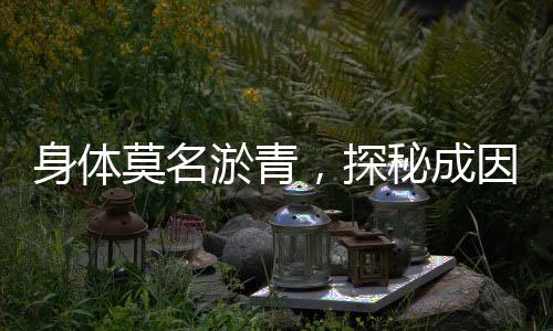 身體莫名淤青，探秘成因及應(yīng)對(duì)之道