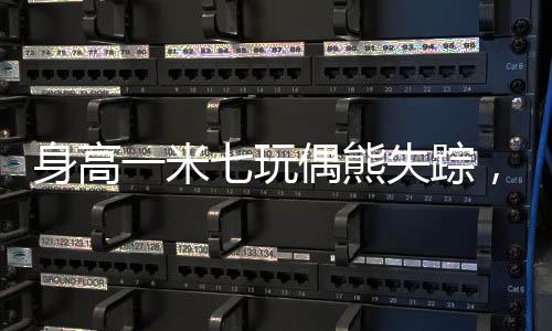 身高一米七玩偶熊失蹤，探秘背后神秘故事