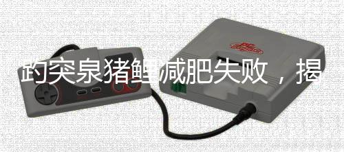趵突泉豬鯉減肥失敗，揭秘背后原因引發(fā)關(guān)注