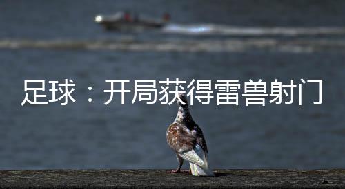 足球：開局獲得雷獸射門