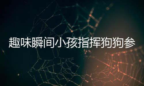 趣味瞬間小孩指揮狗狗參與作業(yè)撕紙大戰(zhàn)，笑容滿滿藏不住
