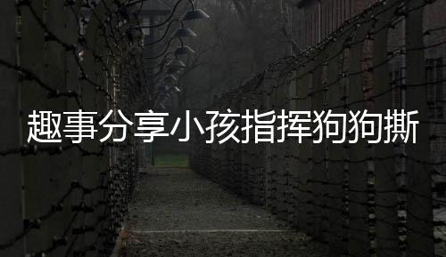 趣事分享小孩指揮狗狗撕作業(yè)，純真笑容藏不住