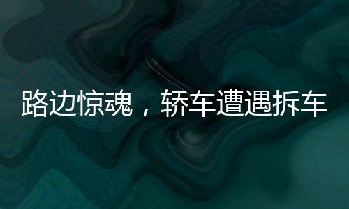 路邊驚魂，轎車(chē)遭遇拆車(chē)式犬群圍攻