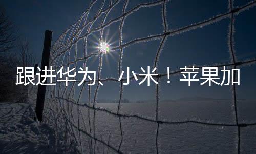 跟進(jìn)華為、小米！蘋(píng)果加緊開(kāi)發(fā)Apple Watch血壓功能：明年亮相