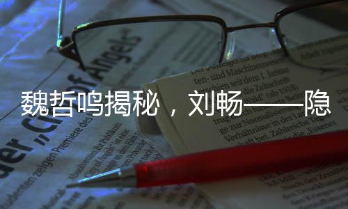 魏哲鳴揭秘，劉暢——隱秘而陰暗的前夫哥