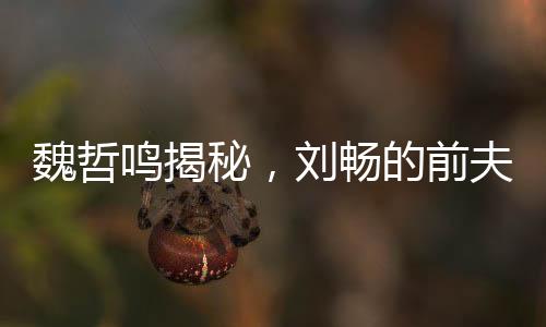 魏哲鳴揭秘，劉暢的前夫哥形象背后的故事——陰暗爬行之路