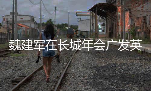 魏建軍在長(zhǎng)城年會(huì)廣發(fā)英雄帖，共筑產(chǎn)業(yè)未來(lái)