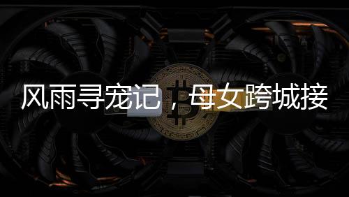 風(fēng)雨尋寵記，母女跨城接回被親戚抱走的家中小狗