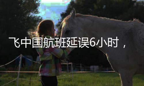 飛中國航班延誤6小時，機(jī)長忘帶護(hù)照引發(fā)關(guān)注