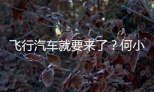 飛行汽車就要來了？何小鵬稱“陸地航母”2026年量產(chǎn)