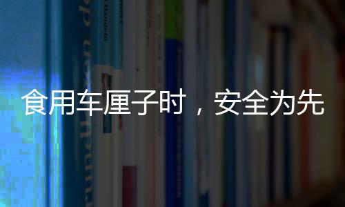 食用車?yán)遄訒r(shí)，安全為先，避免咬破果核