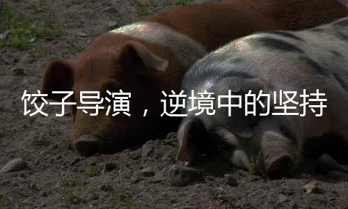 餃子導(dǎo)演，逆境中的堅(jiān)持，投資人的慧眼之選