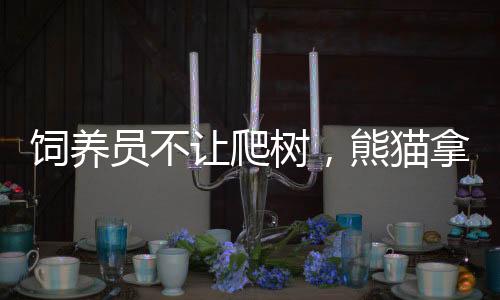 飼養(yǎng)員不讓爬樹，熊貓拿樹皮出氣，專家解析背后的故事與應(yīng)對之道