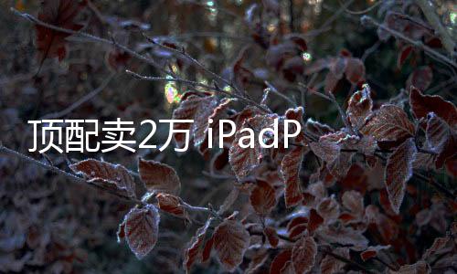 頂配賣2萬 iPadPro出貨量不及預(yù)期：蘋果高估了