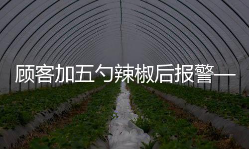 顧客加五勺辣椒后報(bào)警——一起探究事件的始末