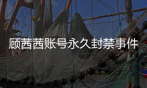 顧茜茜賬號永久封禁事件