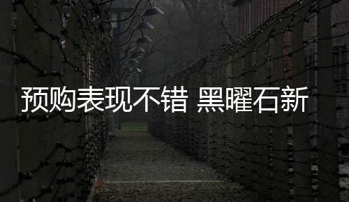 預(yù)購(gòu)表現(xiàn)不錯(cuò) 黑曜石新作《宣誓》登入Steam暢銷(xiāo)榜前十