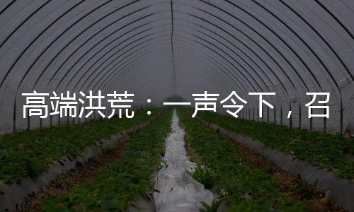 高端洪荒：一聲令下，召回所有穿越者！