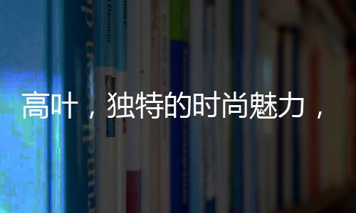 高葉，獨特的時尚魅力，引領(lǐng)穿戴鋼筆新風潮