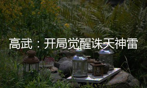 高武：開局覺醒誅天神雷