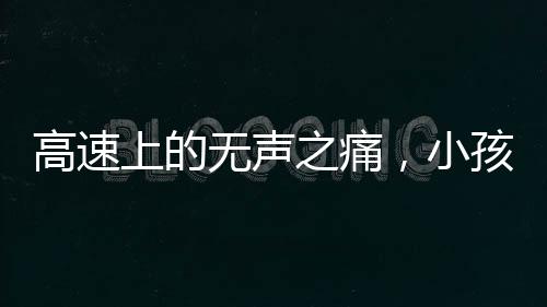 高速上的無(wú)聲之痛，小孩哥終于發(fā)聲