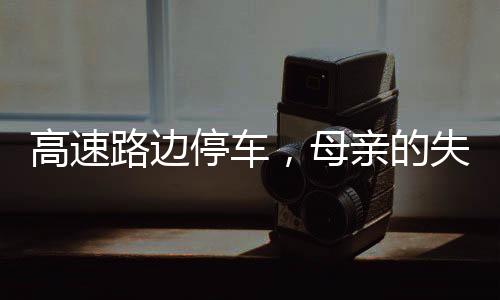高速路邊停車，母親的失控與孩子的受傷