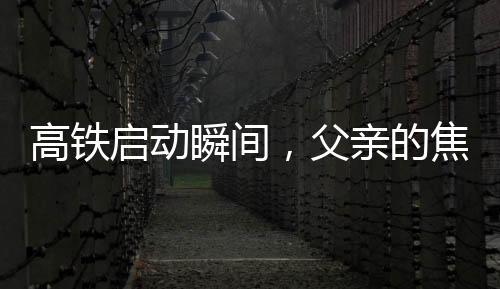 高鐵啟動(dòng)瞬間，父親的焦急與兒子的疏忽——一次未上車的啟示