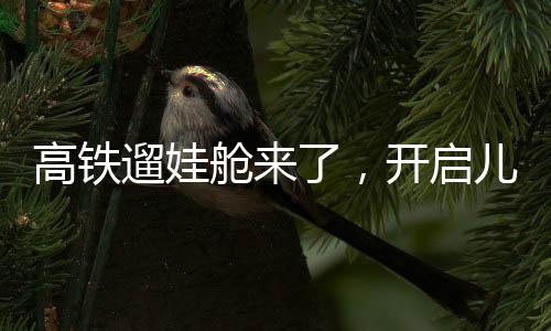 高鐵遛娃艙來了，開啟兒童友好出行新篇章