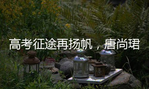 高考征途再揚帆，唐尚珺清華夢續(xù)傳奇——高考路上的奮斗故事第十六回