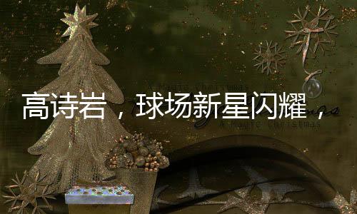 高詩(shī)巖，球場(chǎng)新星閃耀，砍下驚艷數(shù)據(jù)，二分爆發(fā)14次射門(mén)十進(jìn)九出創(chuàng)造歷史——他在XX比賽的耀眼表現(xiàn)大解密