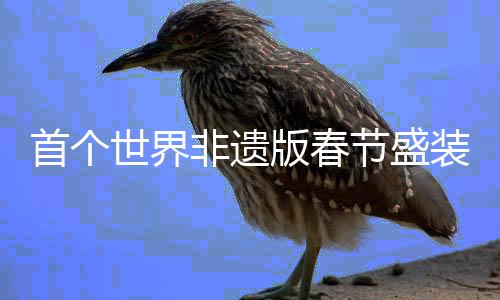 首個世界非遺版春節(jié)盛裝來襲