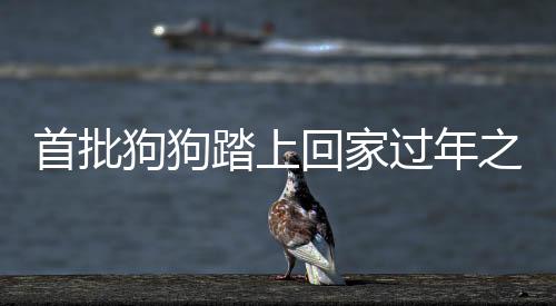 首批狗狗踏上回家過(guò)年之路
