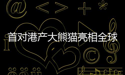 首對(duì)港產(chǎn)大熊貓亮相全球矚目，共慶美好瞬間