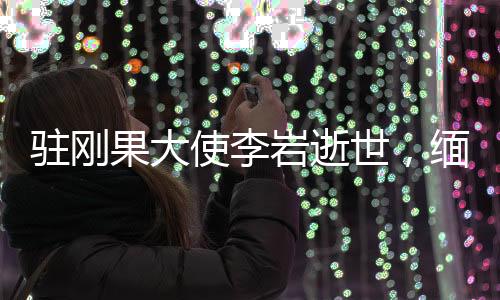 駐剛果大使李巖逝世，緬懷一位卓越的外交使者