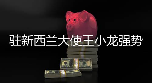 駐新西蘭大使王小龍強(qiáng)勢(shì)回懟外國(guó)記者，傳遞真實(shí)聲音，捍衛(wèi)國(guó)家利益
