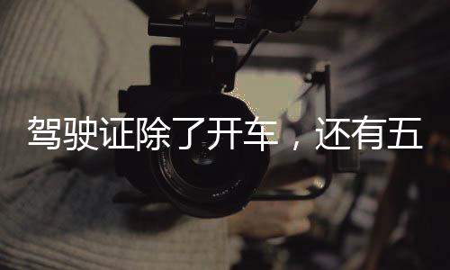 駕駛證除了開車，還有五大隱藏功能
